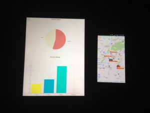 Mobile Application - Tablet and Smart Phone 3
